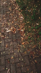 A team clearing colorful autumn leaves from a garden pathway.
