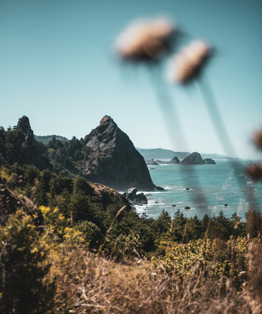 green and brown mountain beside sea during daytime