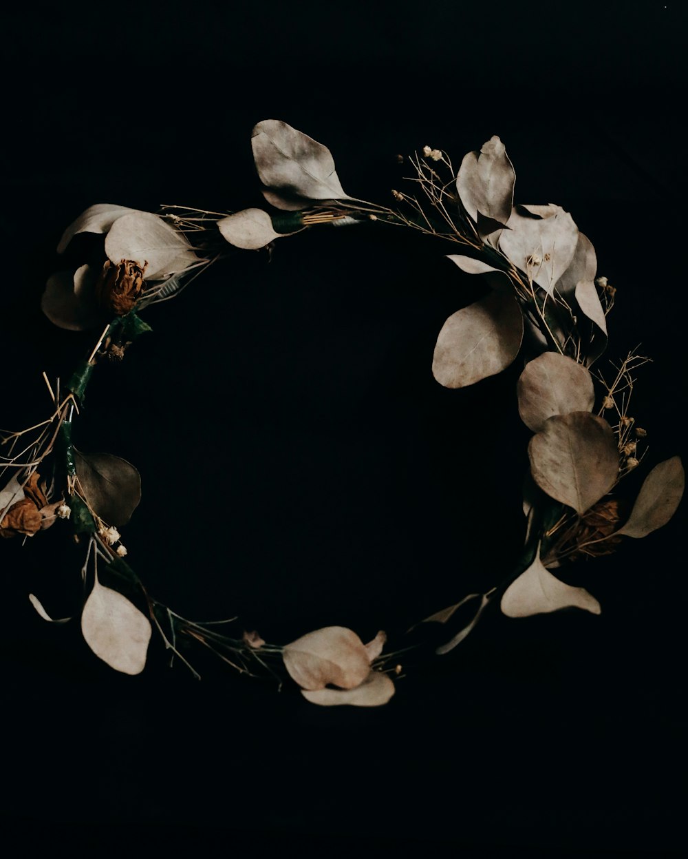 white and black flower petals