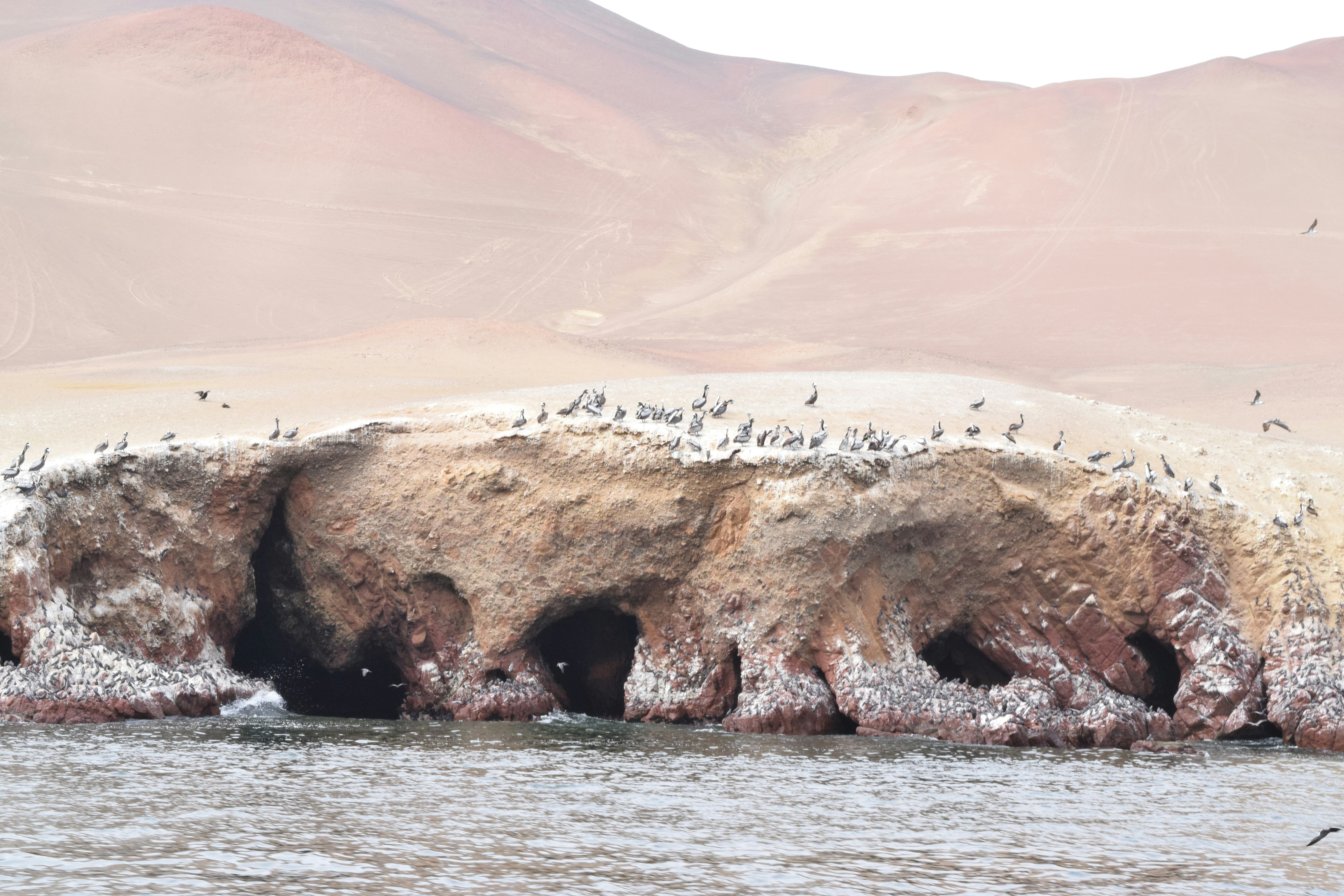 Photo by georgidan_textiles