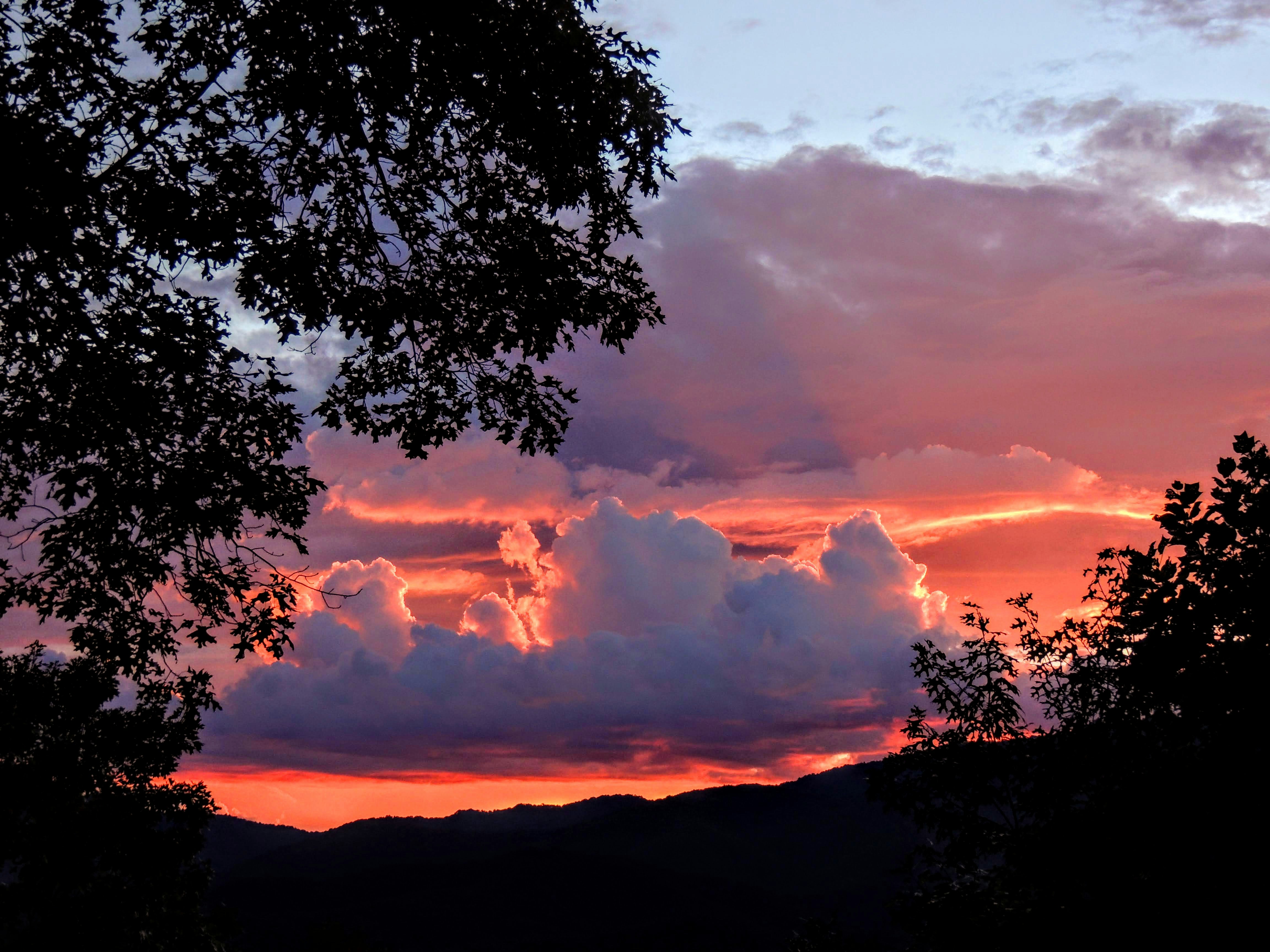 Photo by larrbearninas