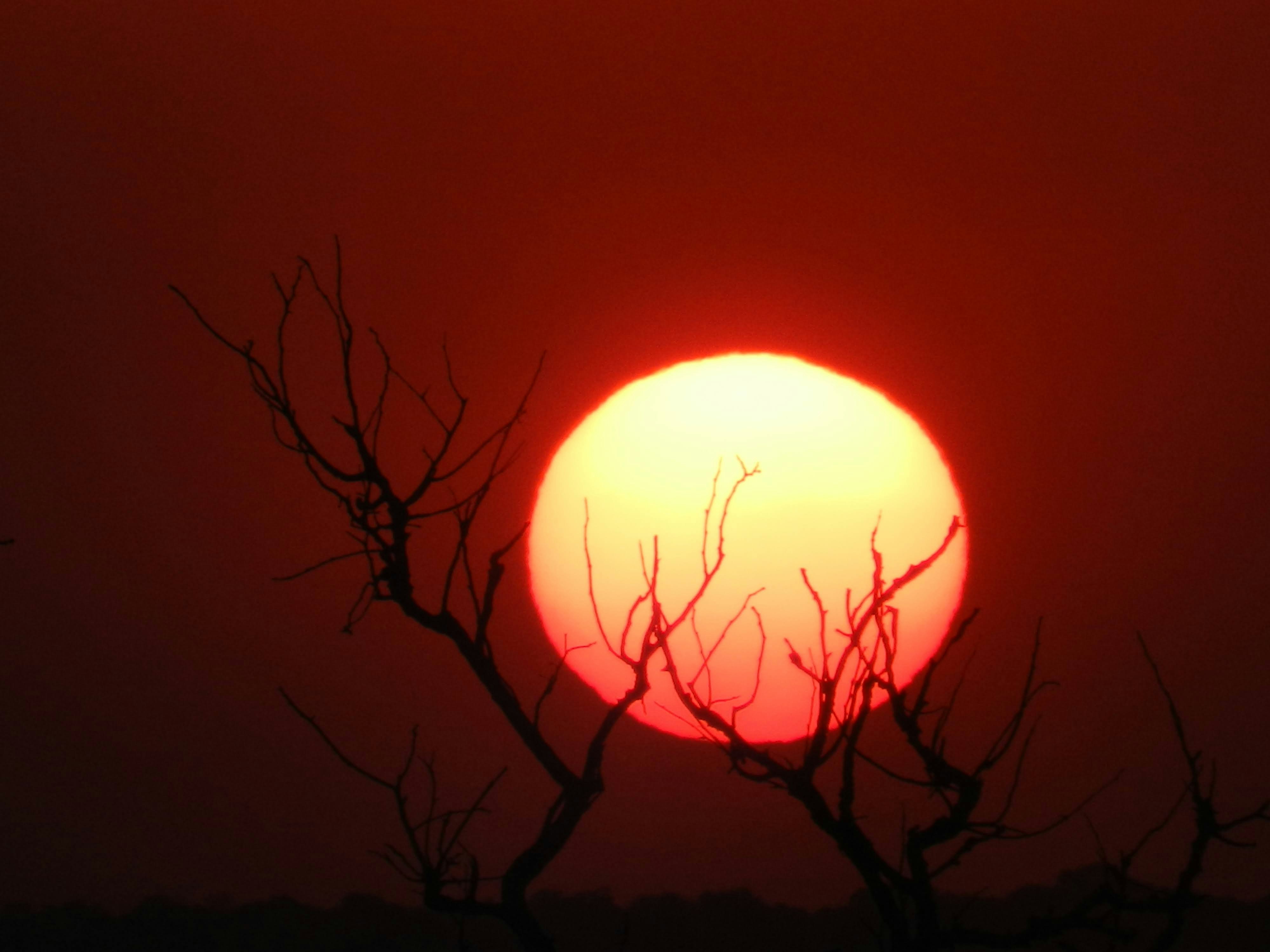 Photo by larrbearninas