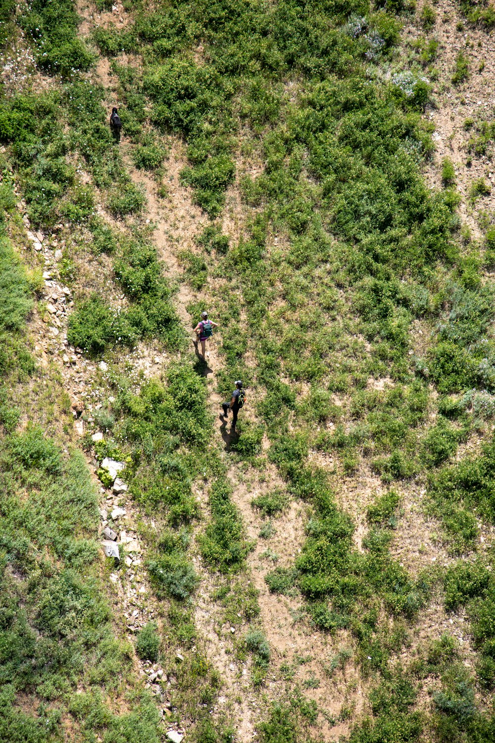 2 personnes marchant sur un champ d’herbe verte pendant la journée