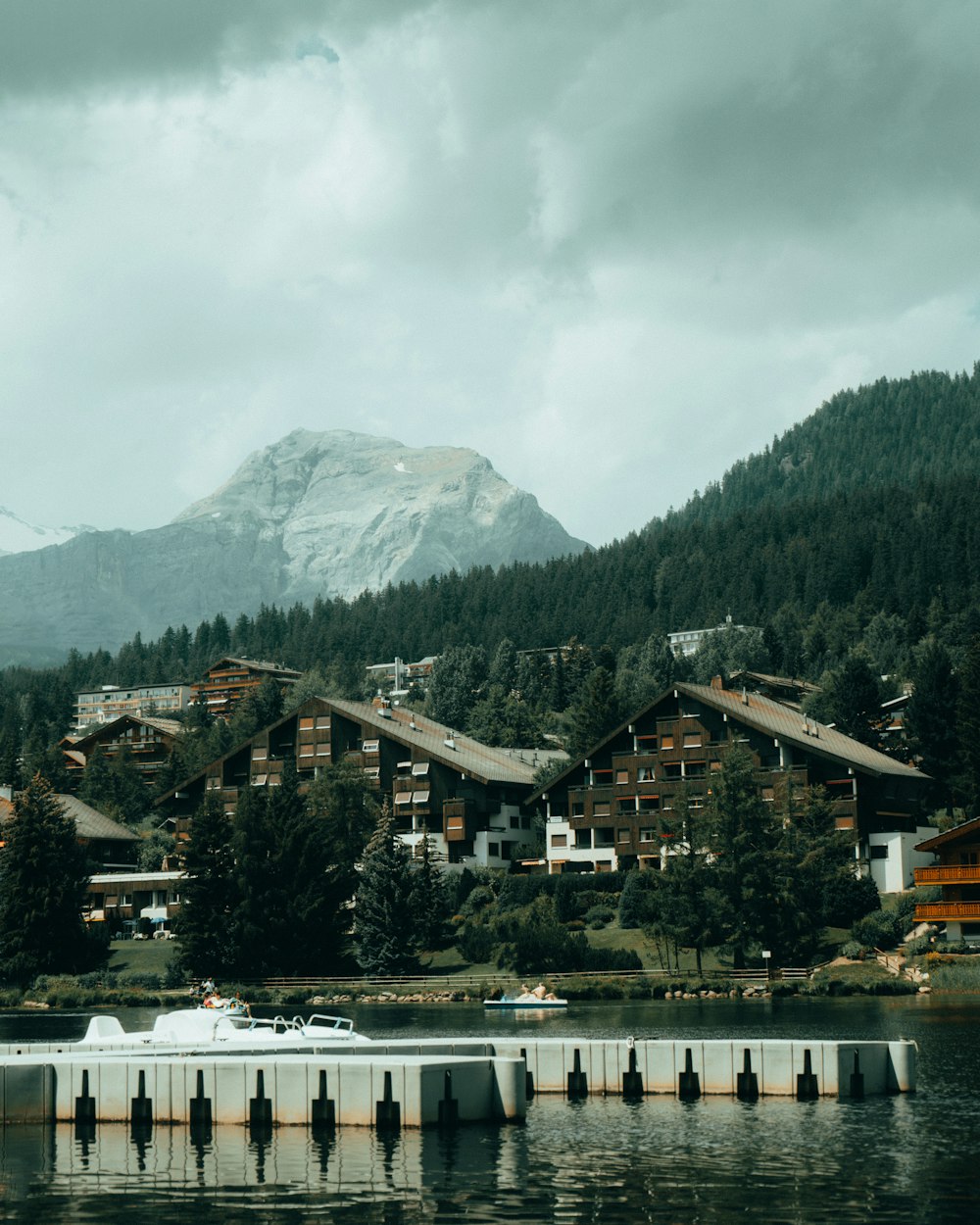 maison brune et blanche près des arbres verts et de la montagne pendant la journée