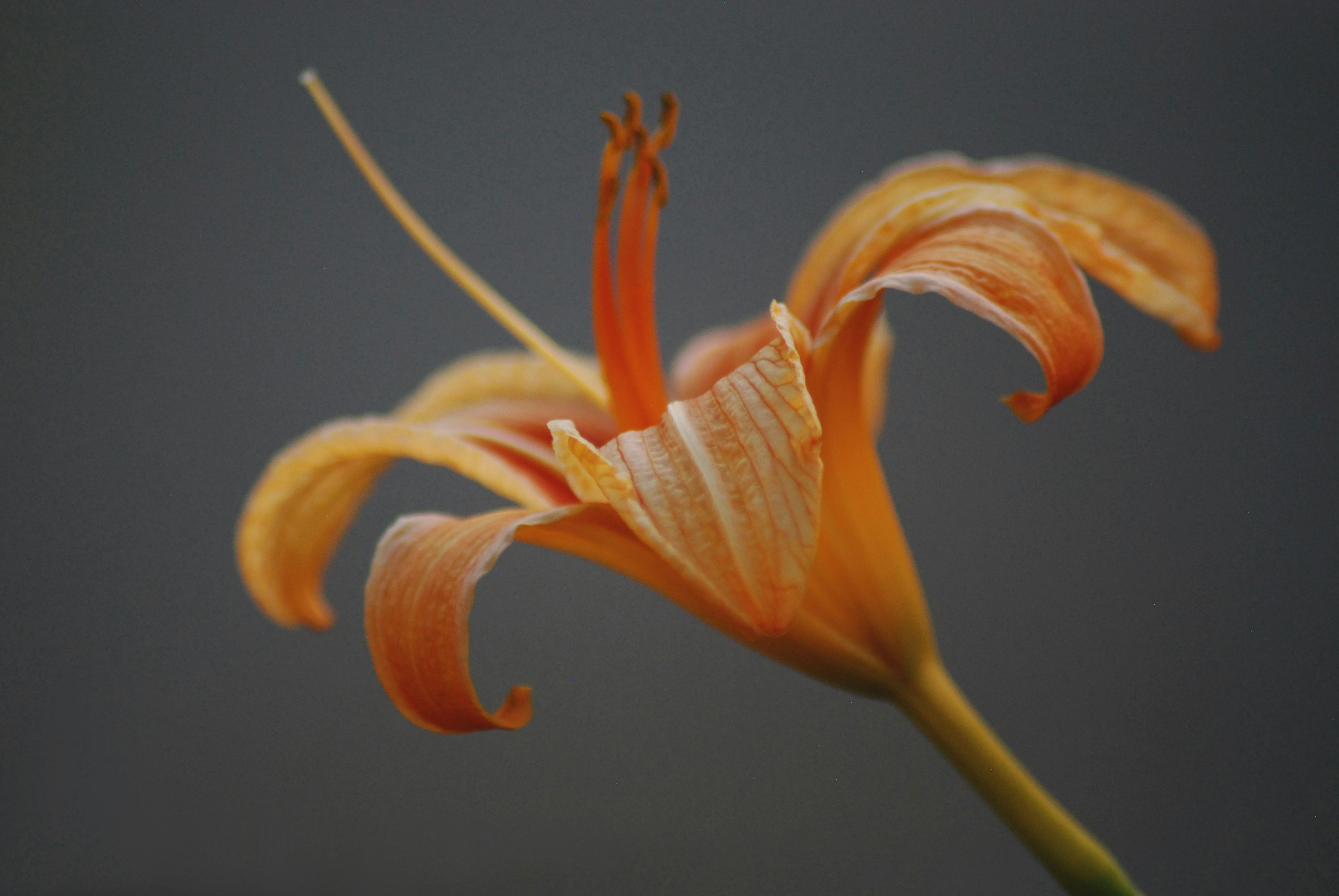 Photo by origamiaround