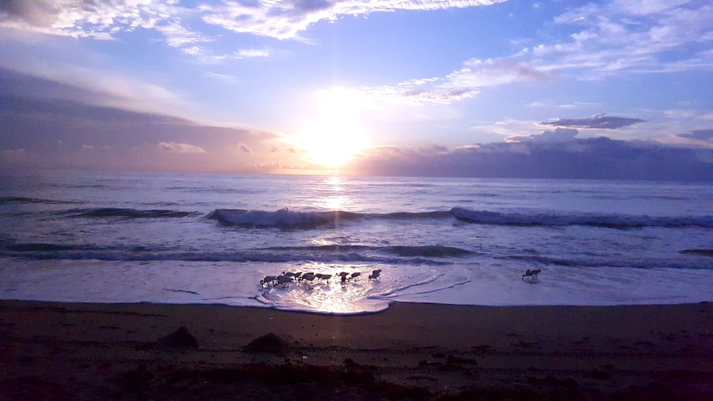 sea waves crashing on shore during daytime