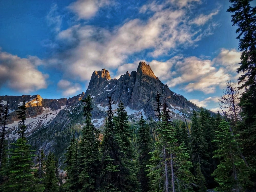 green pine trees near mountain under blue sky during daytime