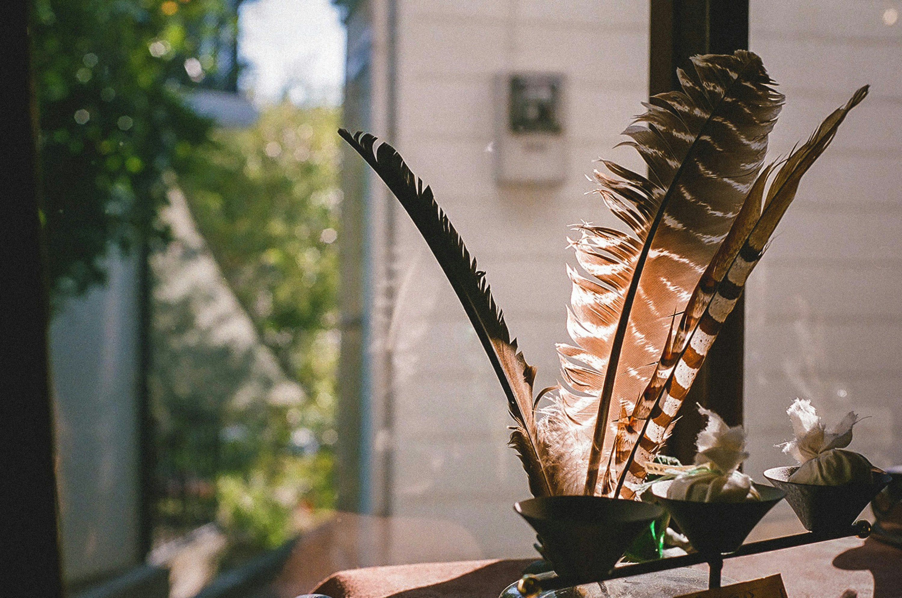 brown and white feather on brown pot