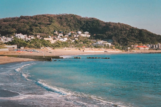 people on beach during daytime in Isshiki Japan