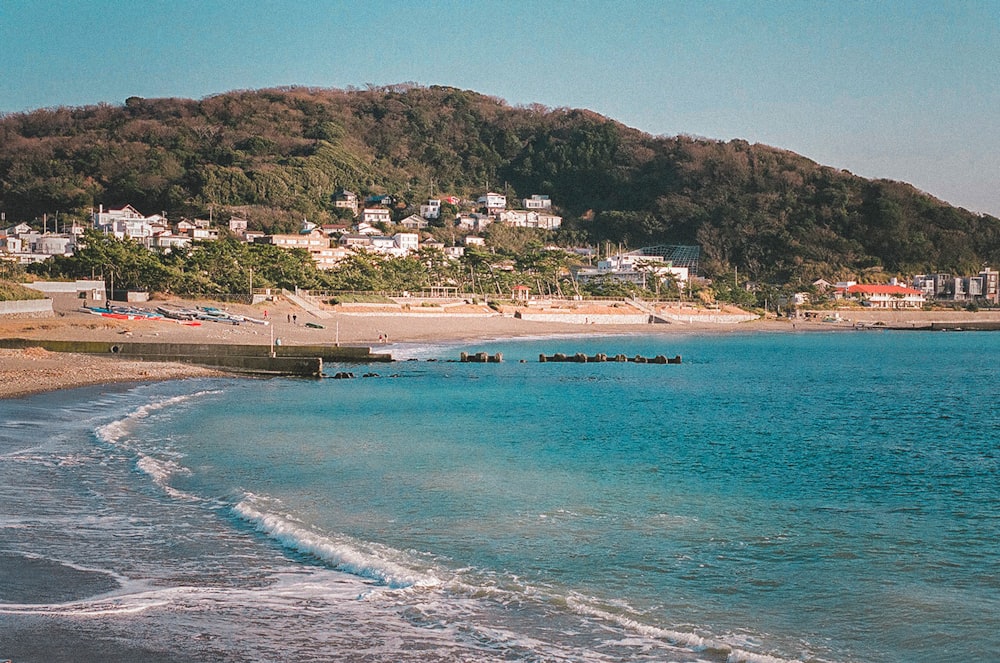 people on beach during daytime