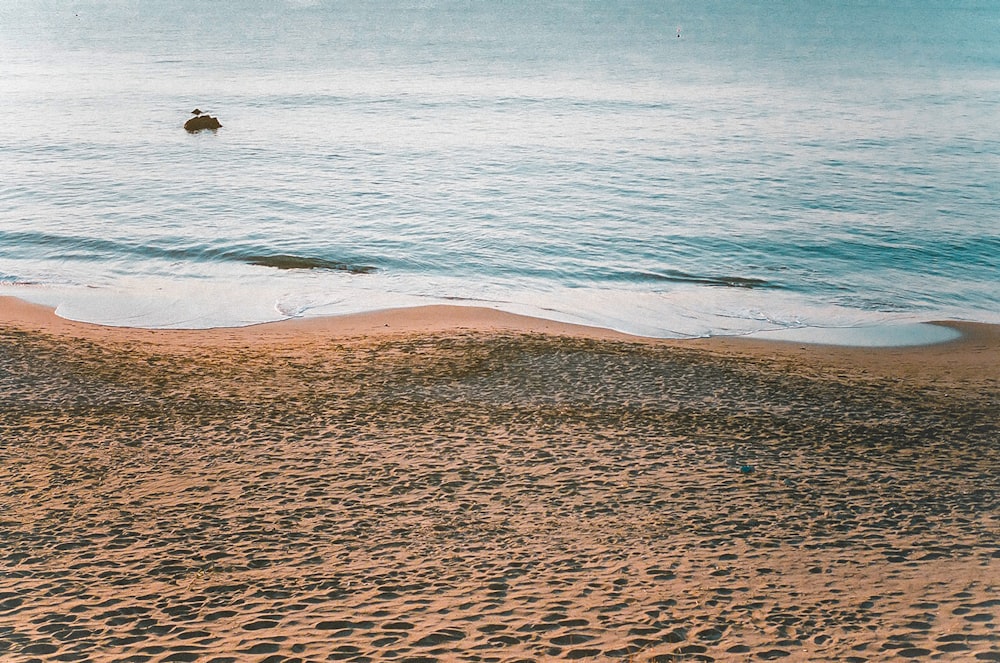 brown sand beach during daytime