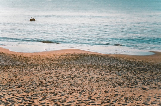 brown sand beach during daytime in Hayama Japan