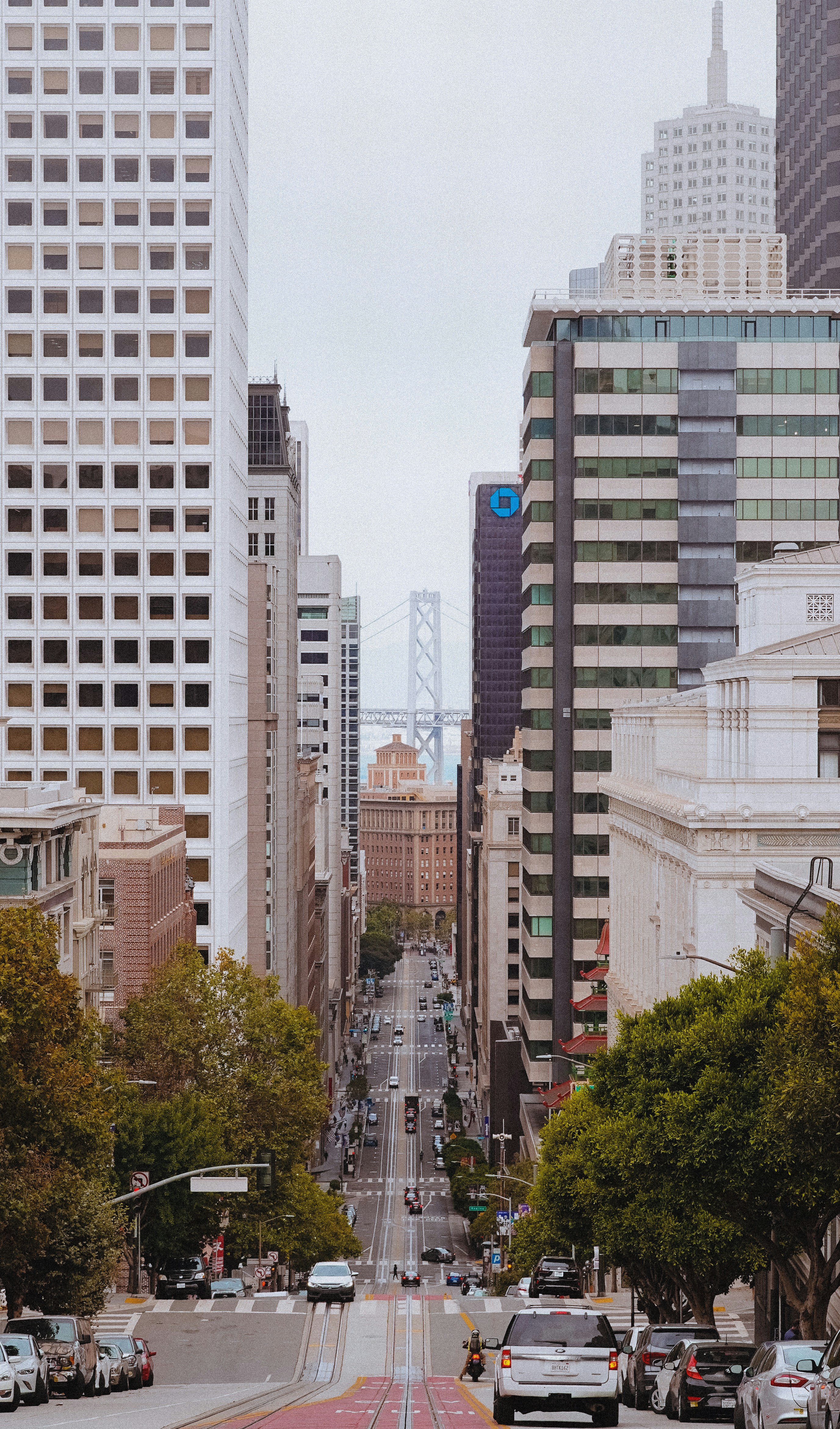 Photo by antonbogdanov