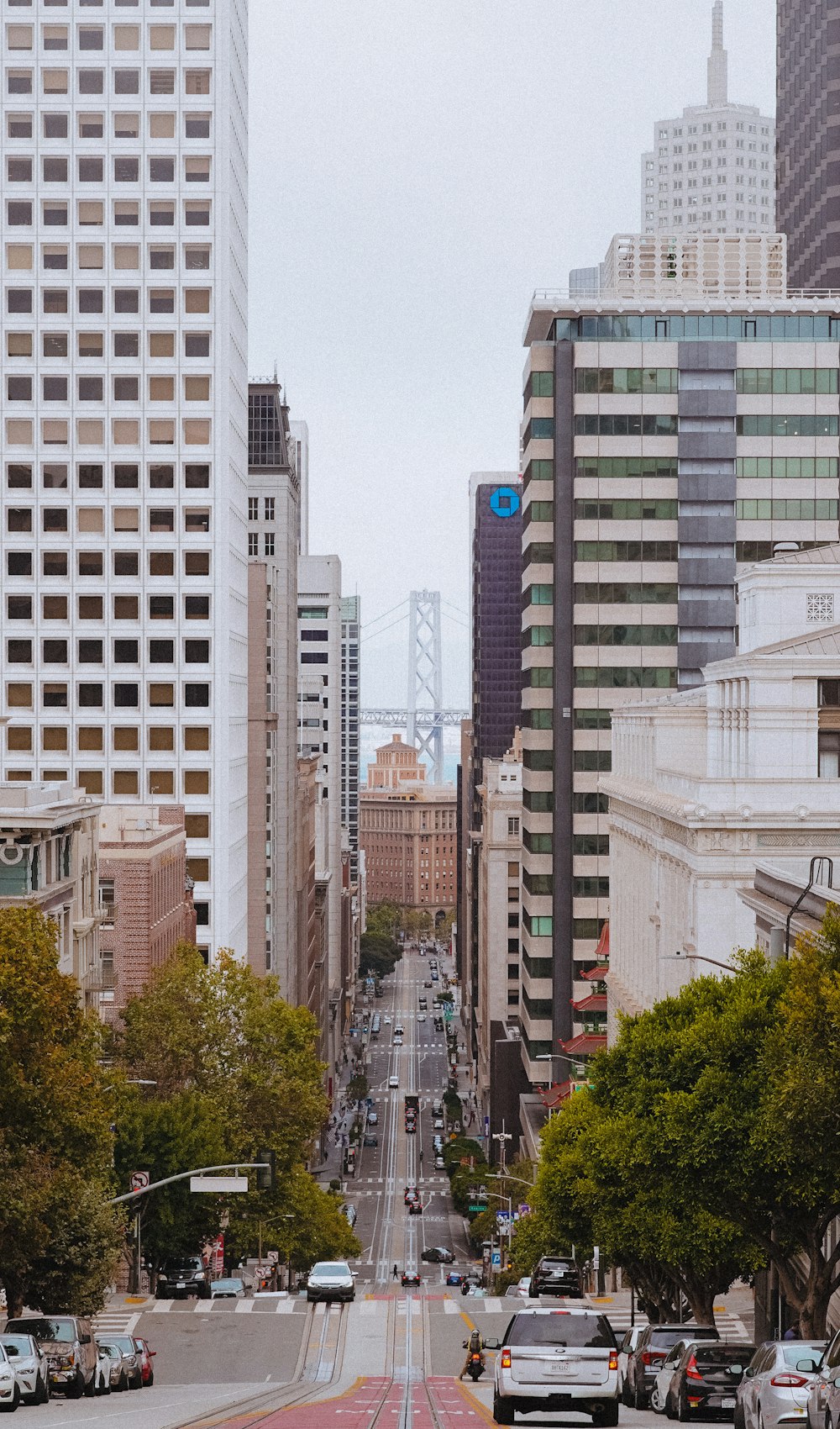 cars on road near high rise buildings during daytime