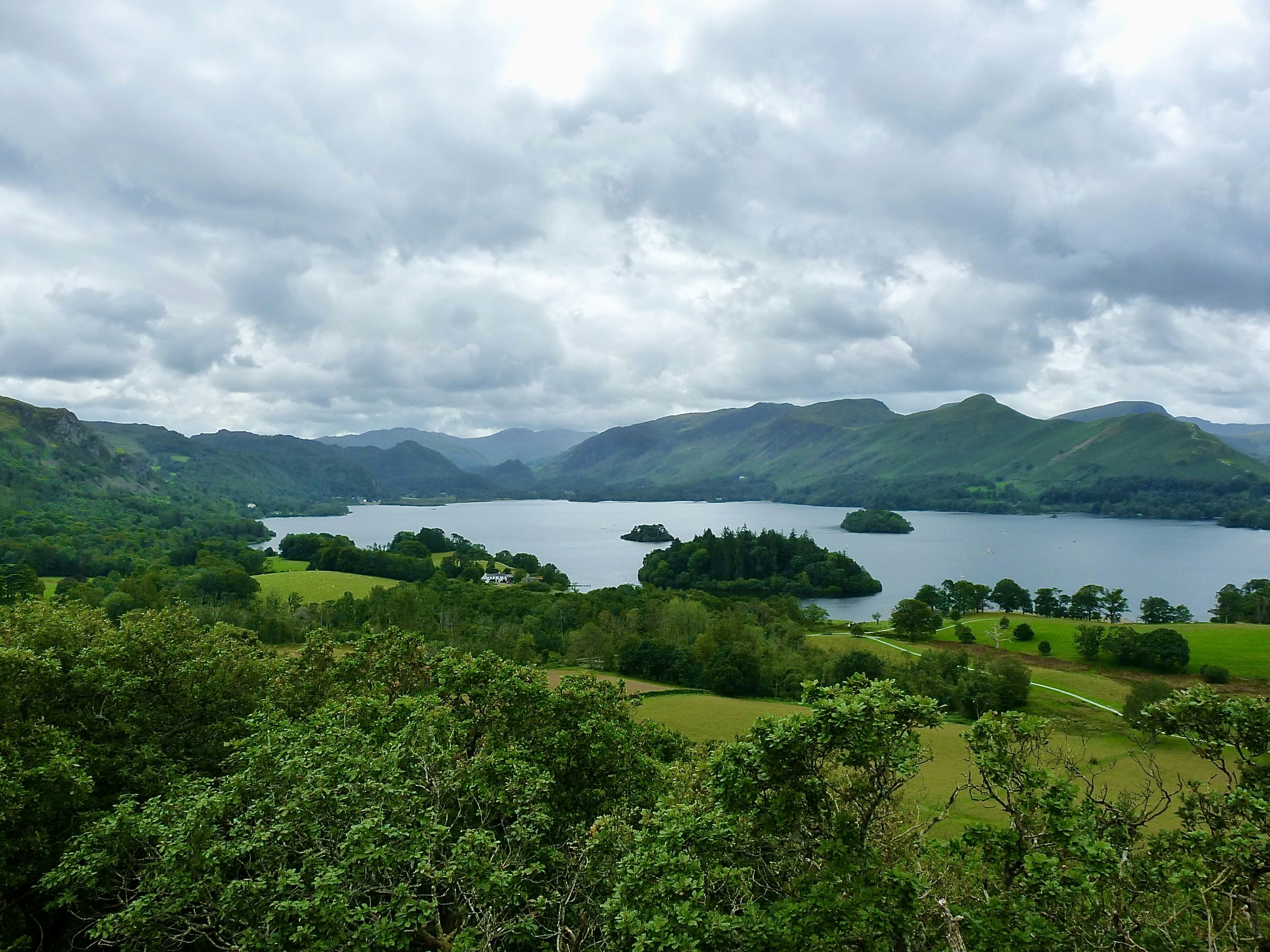 green trees near body of water under cloudy sky during daytime