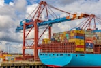 blue and red cargo ship