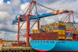 blue and red cargo ship