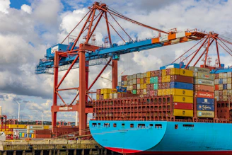 blue and red cargo ship