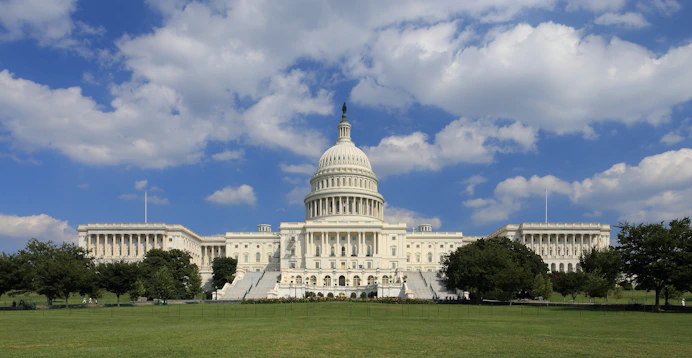 US Capitol building representing federal government contract compliance services