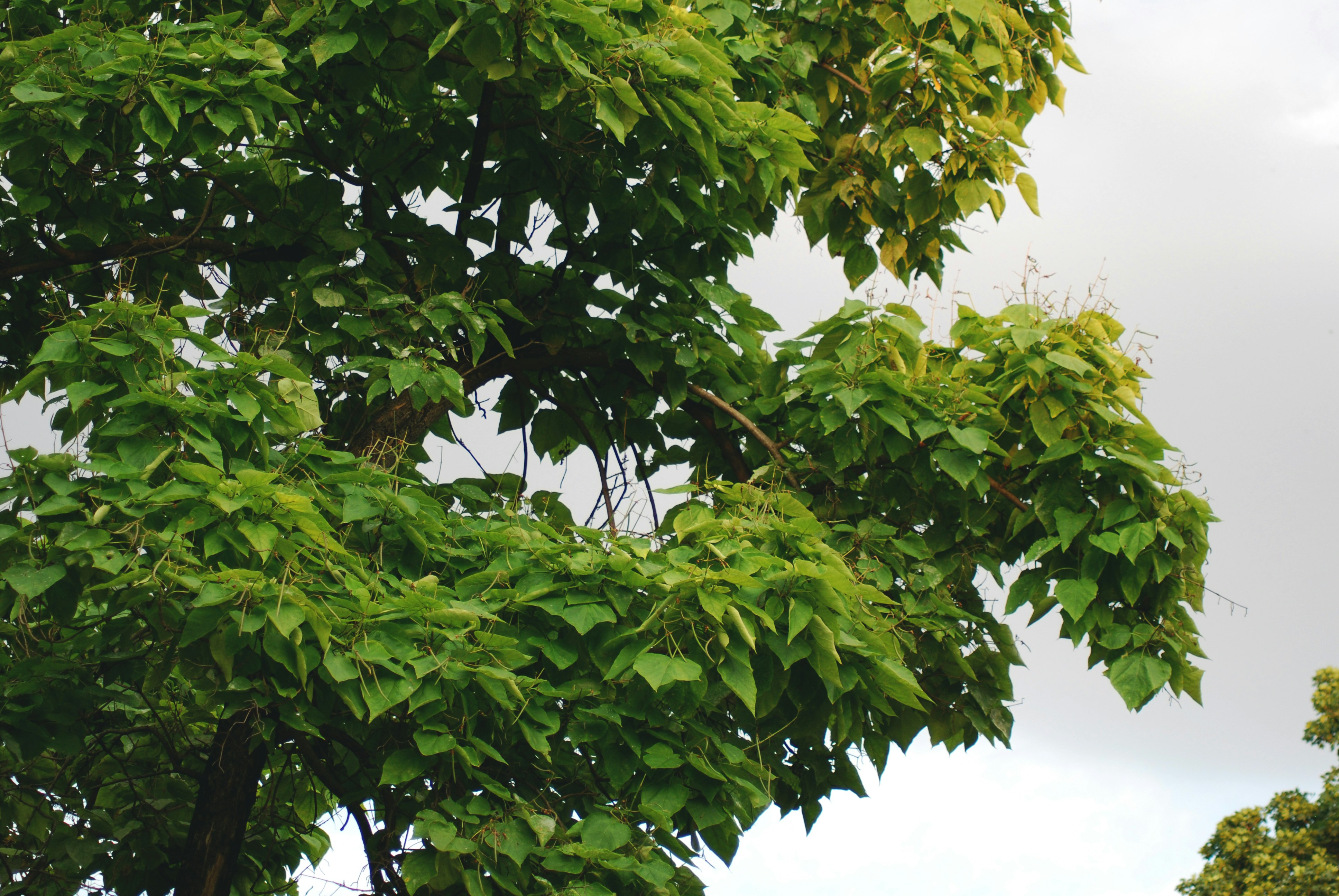 Photo by origamiaround