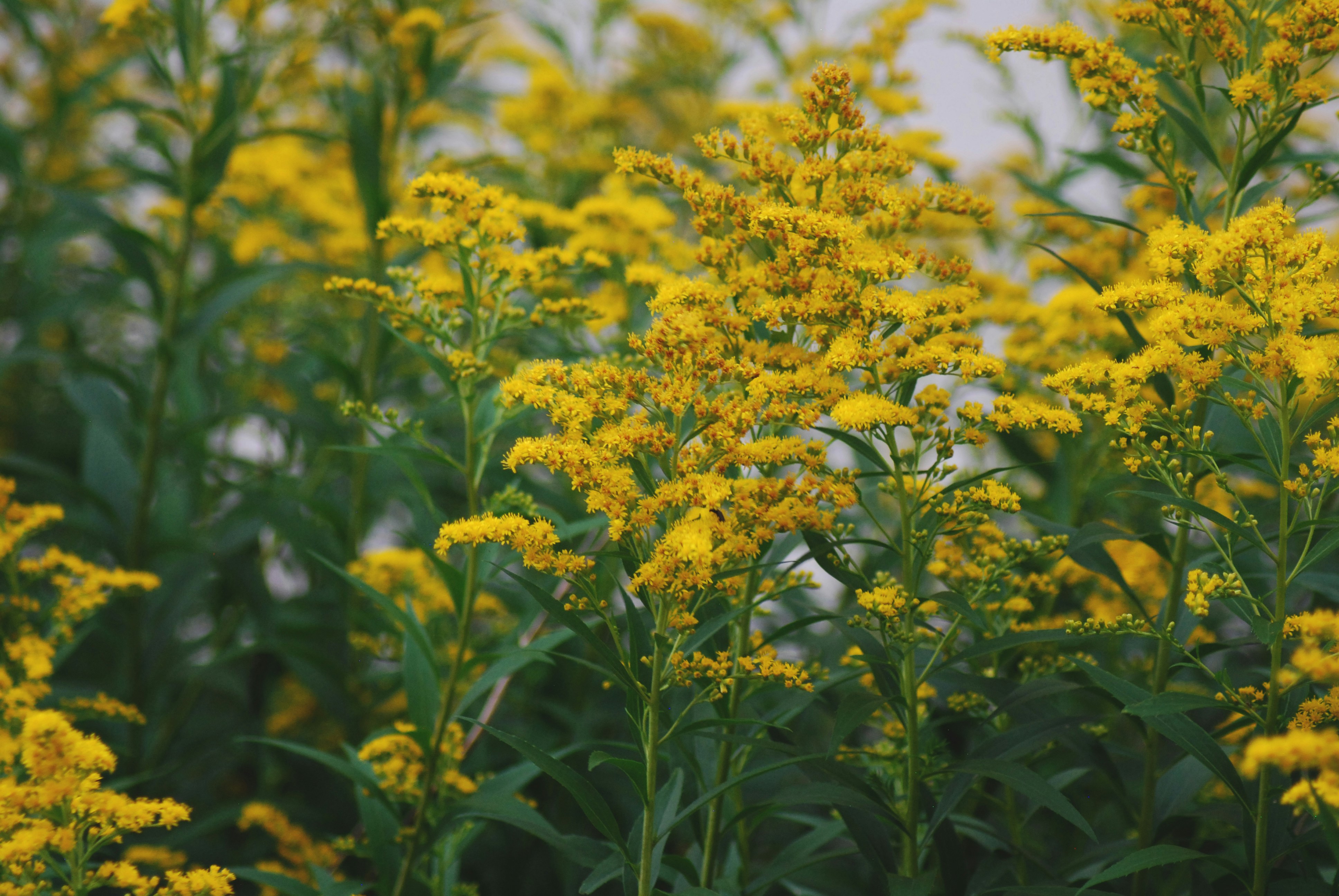 Photo by origamiaround