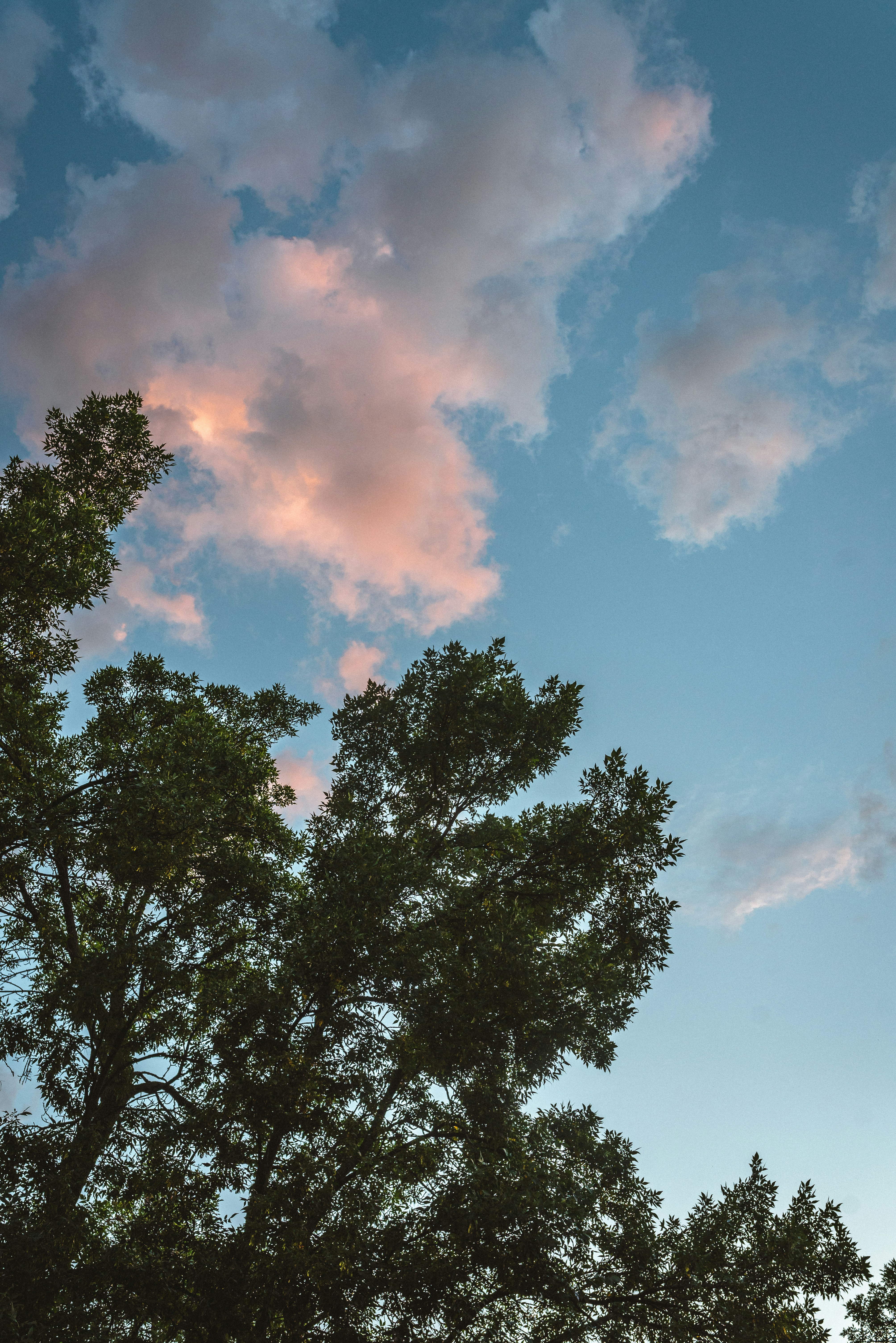 Photo by carolineziem