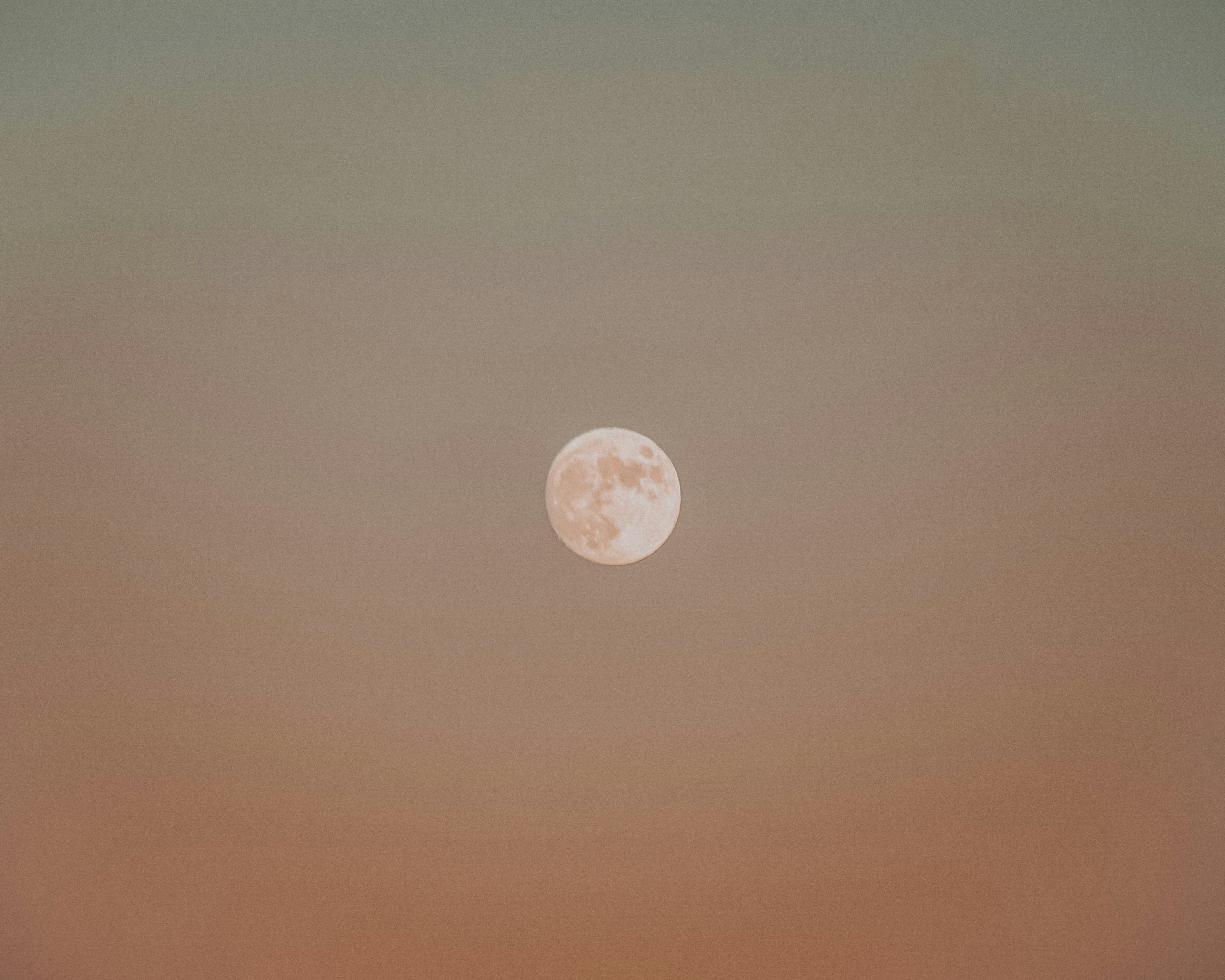 Photo by framesforyourheart