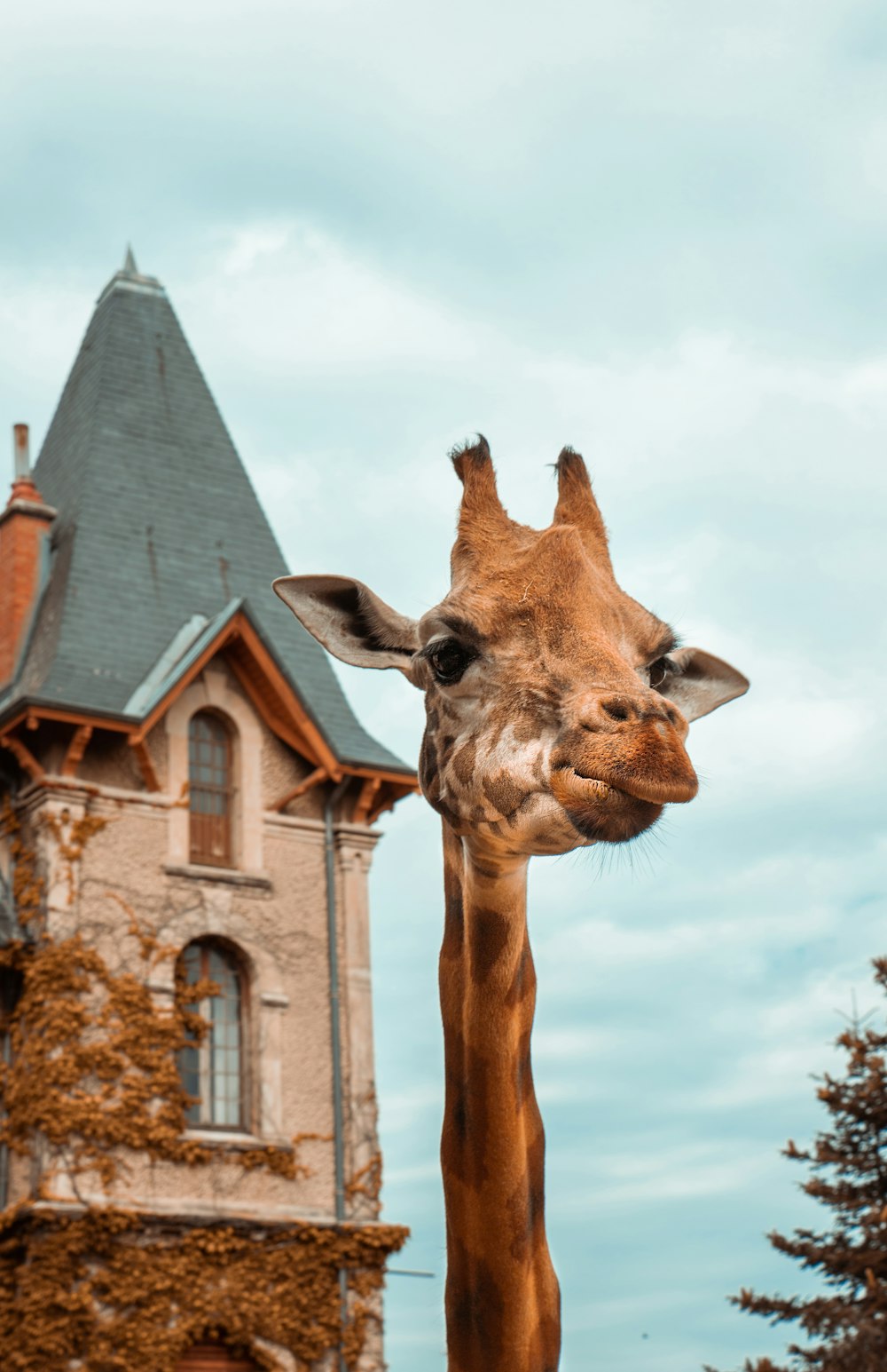 brown giraffe statue near brown concrete building during daytime