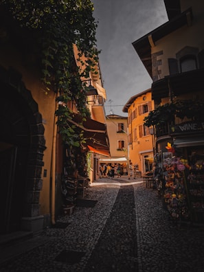 A narrow alley framed by ivy-covered walls, bathed in the golden hour glow.