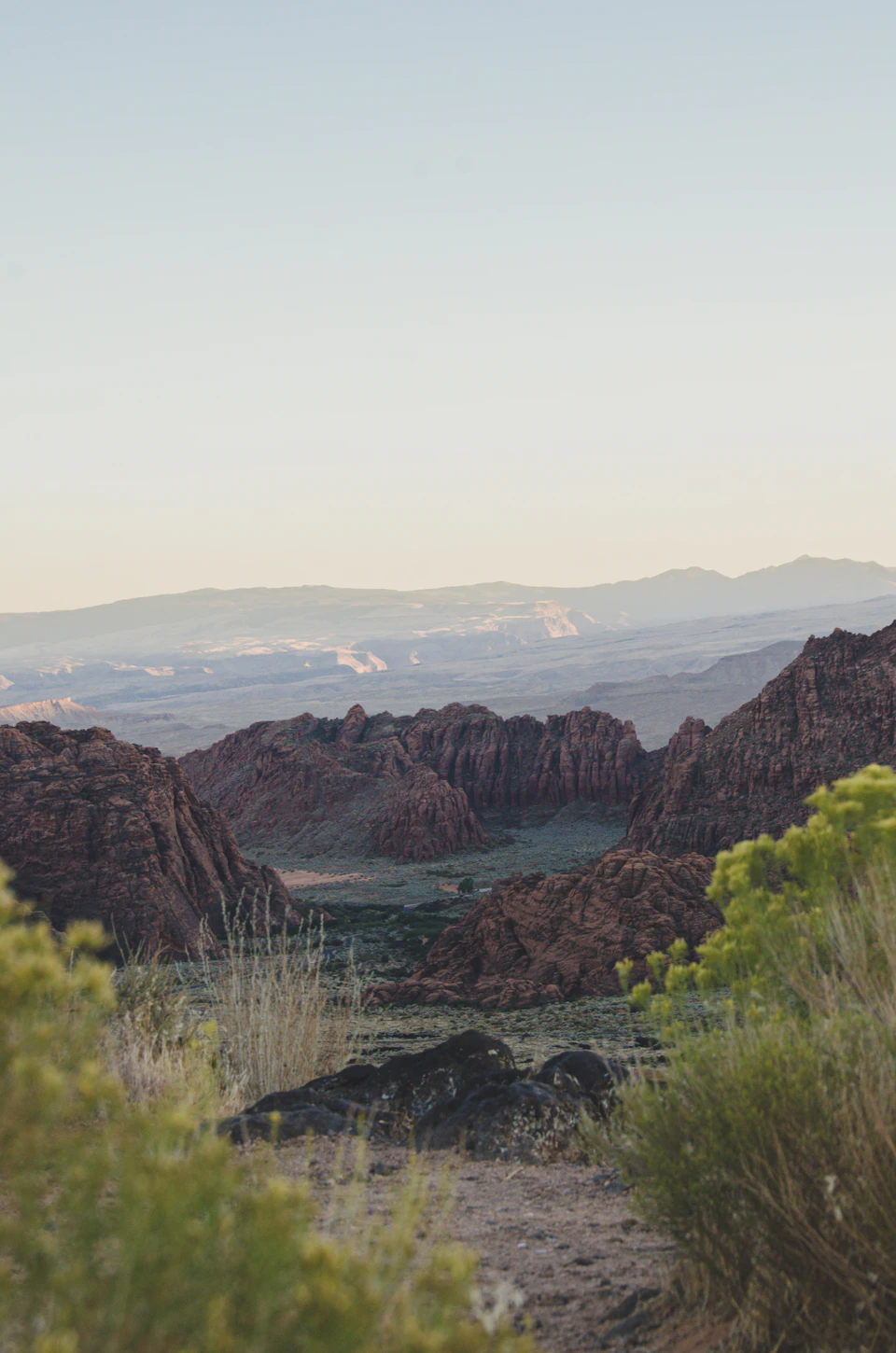 The image depicts a breathtaking view from a high vantage point, overlooking a vast desert landscape. The scene is dominated by towering red rock formations that stretch across the horizon, their rugged surfaces contrasting with the clear blue sky above. In the foreground, a few shrubs and bushes add a touch of green to the otherwise monochrome palette. The image is taken from a slightly elevated perspective, providing a panoramic view of the landscape below.