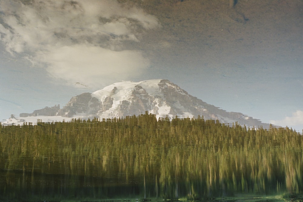 green trees near snow covered mountain under cloudy sky during daytime