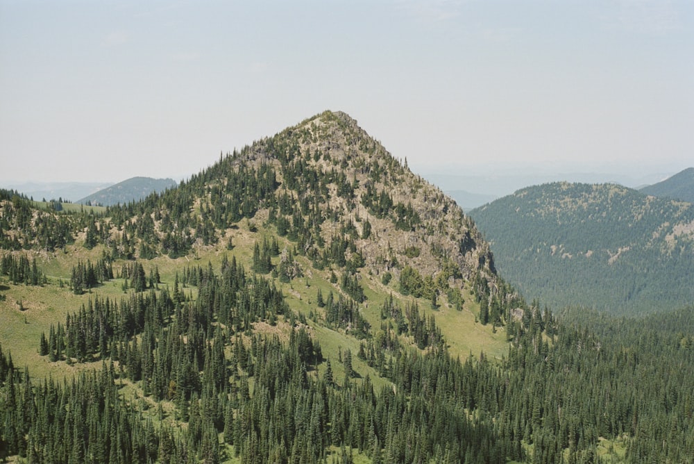 green trees on mountain under white sky during daytime