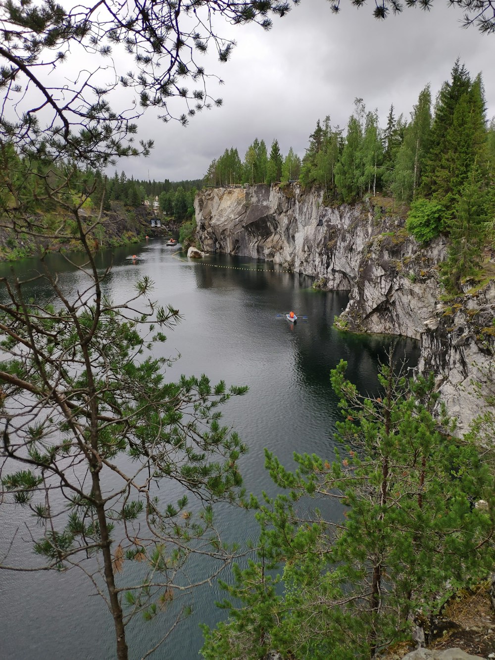 green trees beside river under cloudy sky during daytime