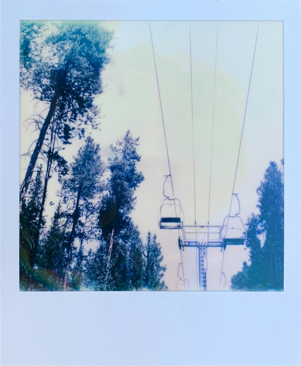 white cable car over green trees