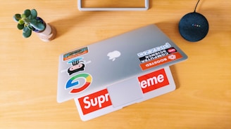 A wooden table holds a closed laptop adorned with various colorful stickers, including brand names and logos. A small potted plant with green leaves is situated to the left, while a round, black smart speaker with colored lights sits on the right.