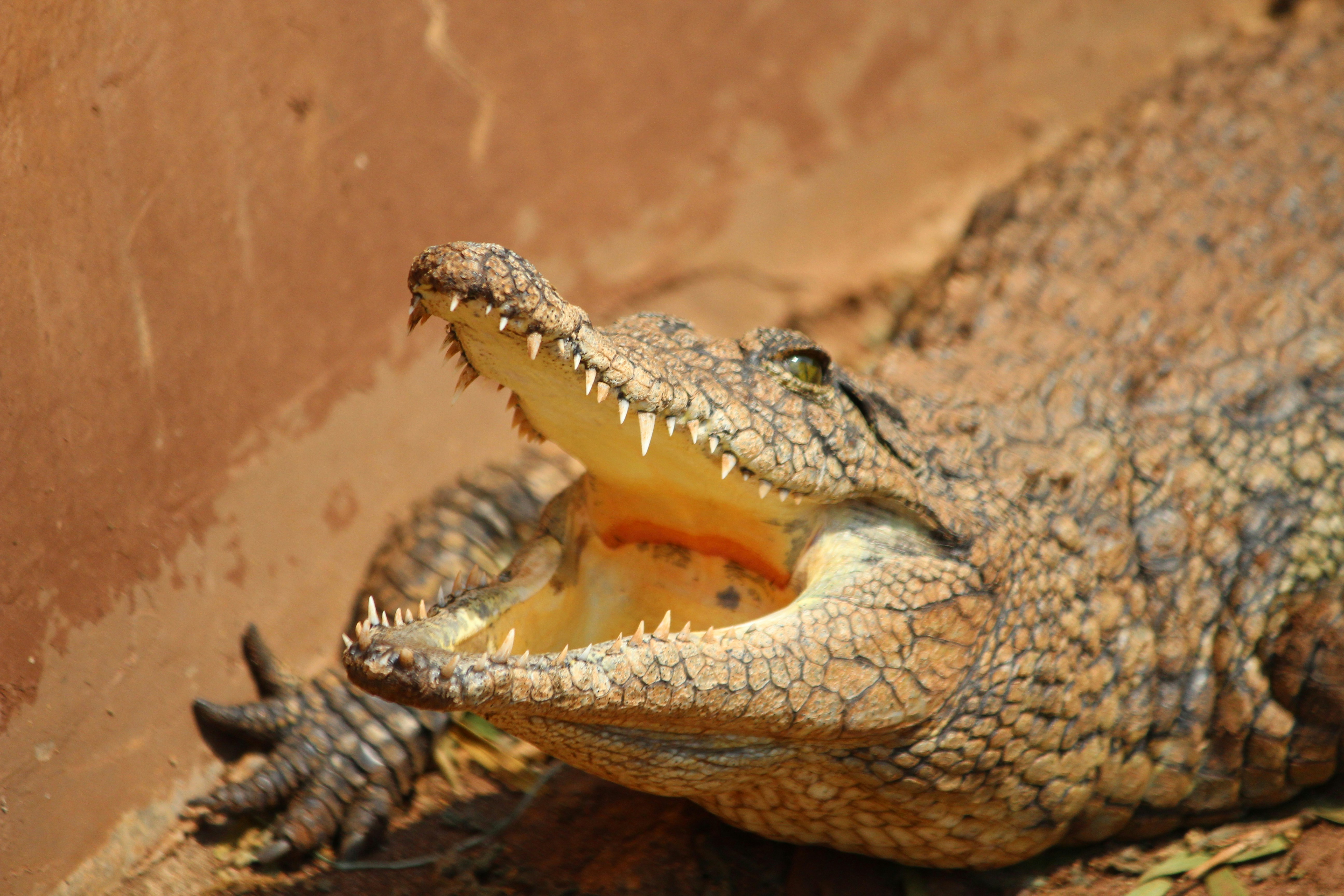 Photo by lena_bauermeister