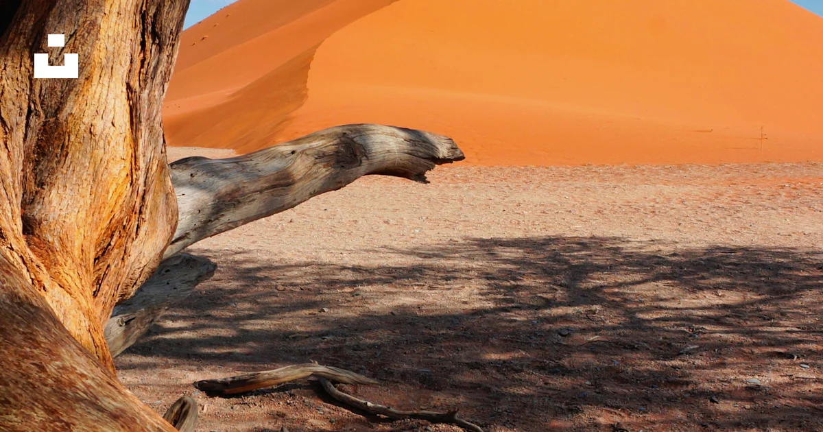 Brown and black rock formation near body of water during daytime photo ...