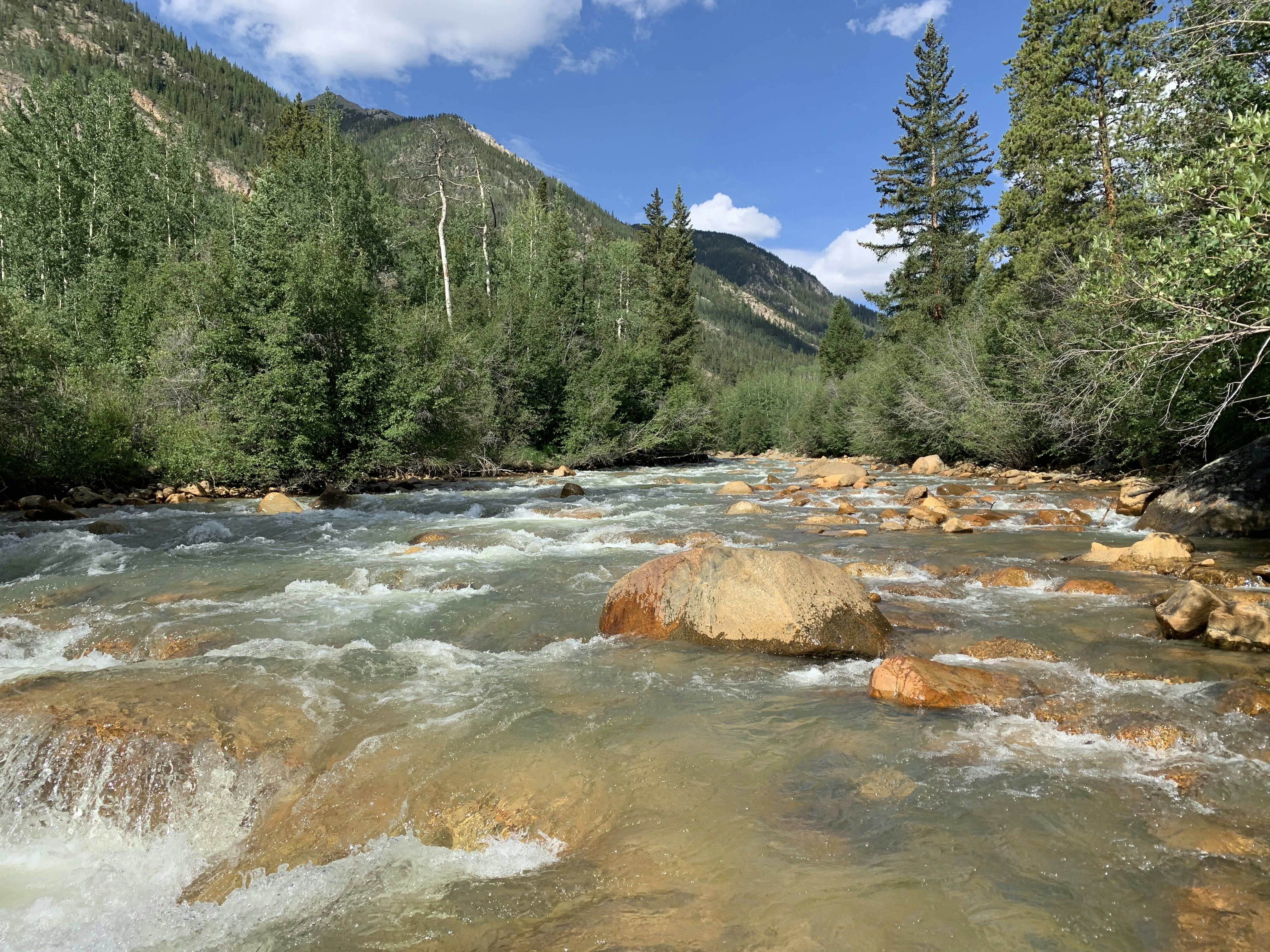 Photo by yaro_muzychenko