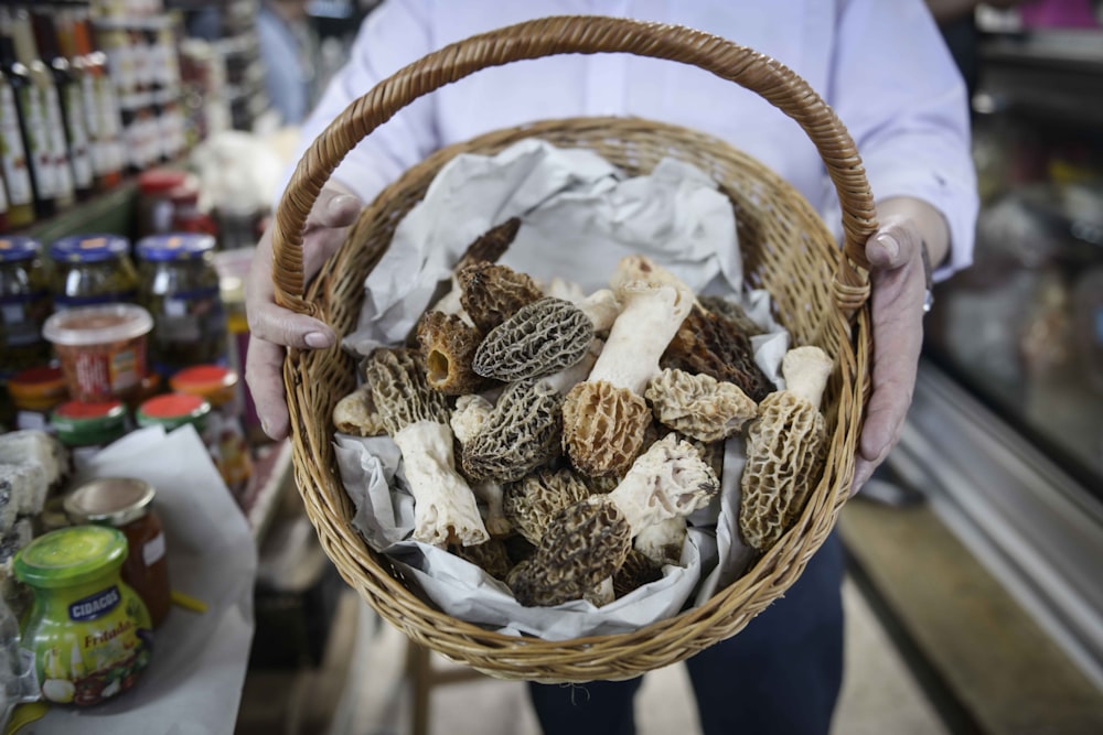 brown and white bird nest