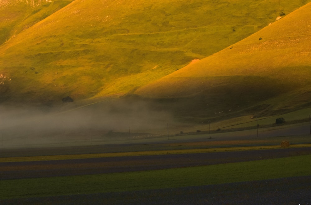 green grass field near road during daytime