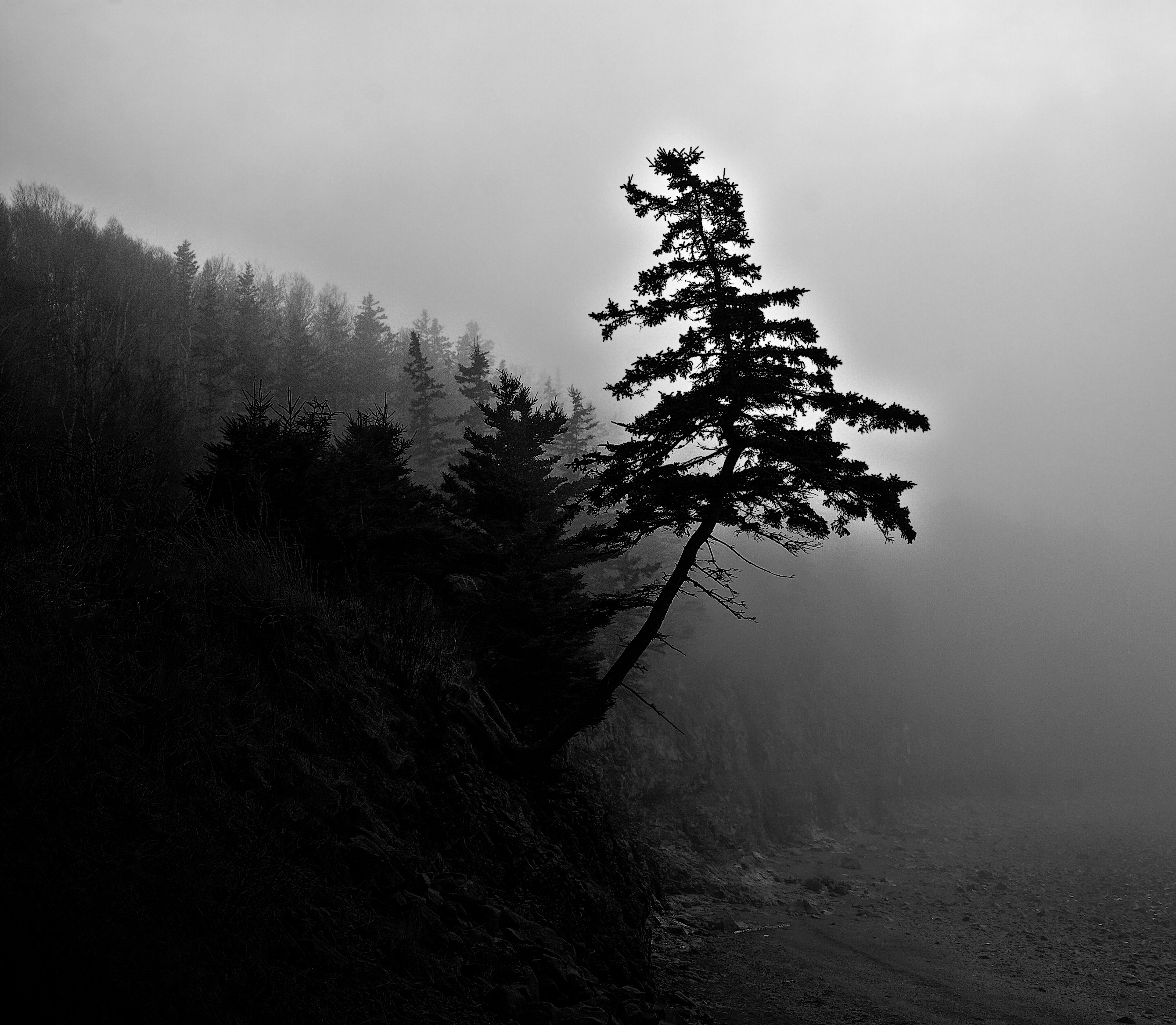 Photo by ronwhitaker