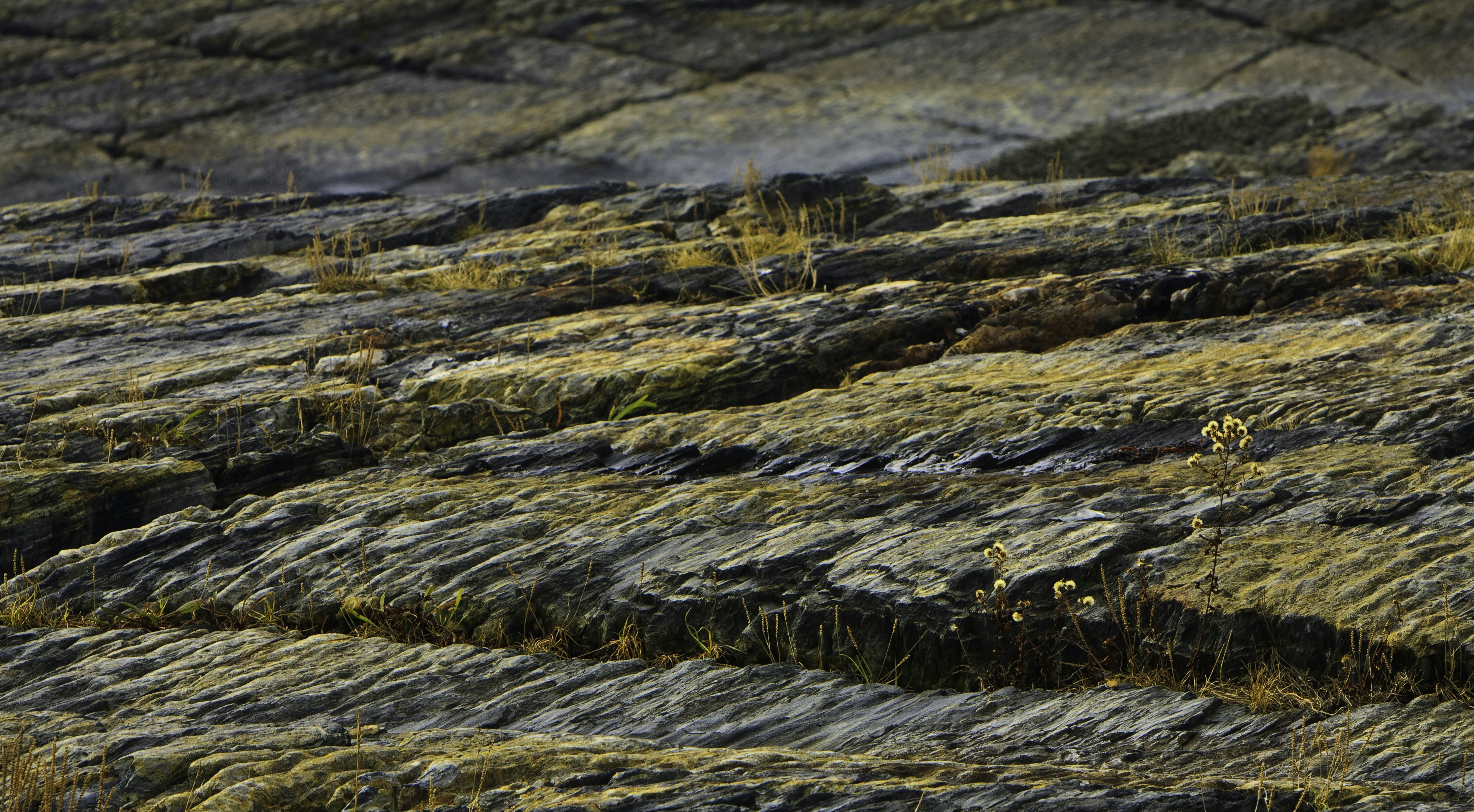 Photo by ronwhitaker