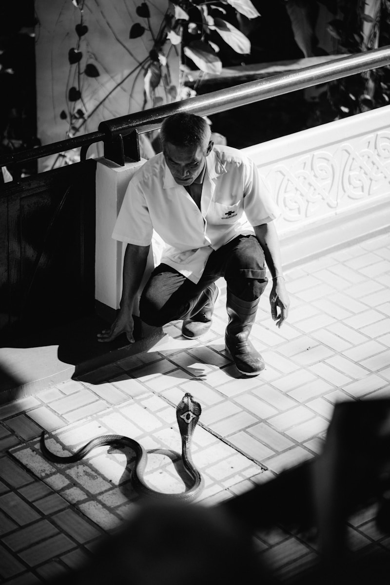 Plumbing Services
