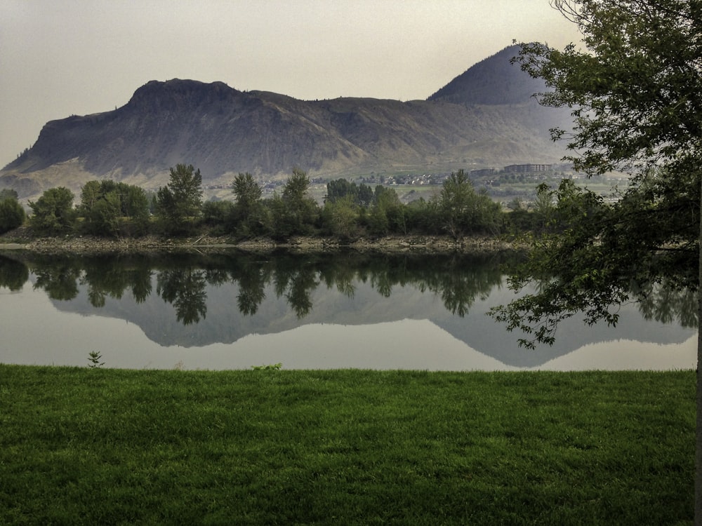 green grass field near lake and mountain during daytime