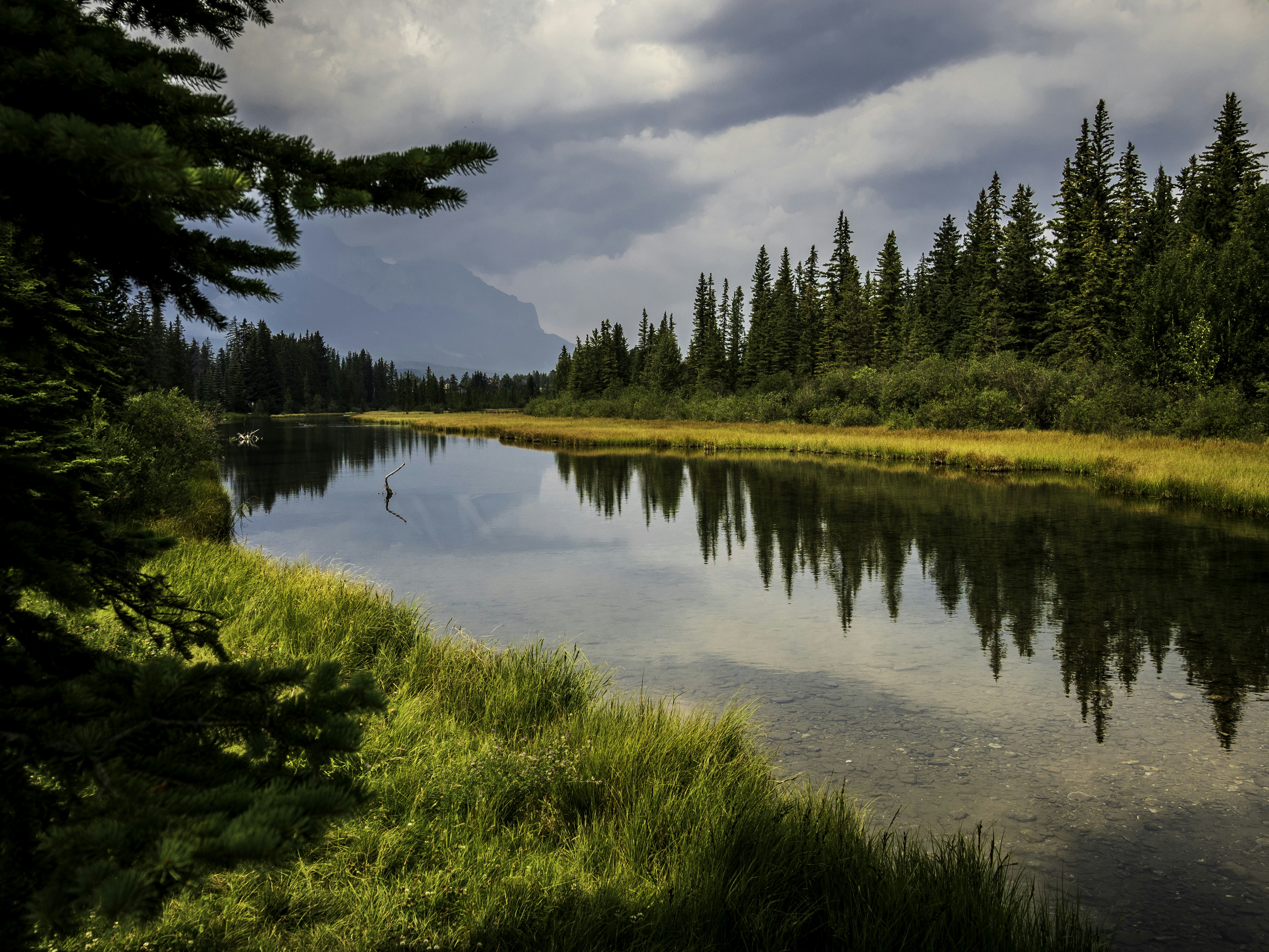 Photo by ronwhitaker