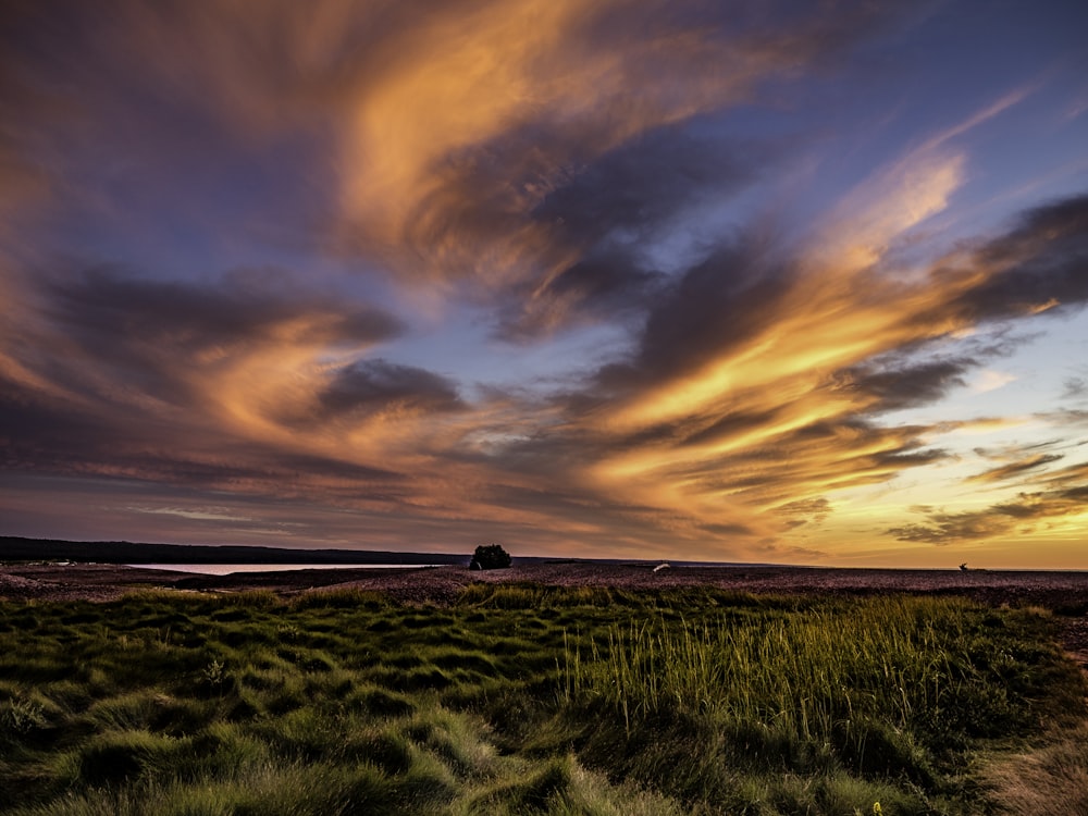 green grass field under orange and blue sky