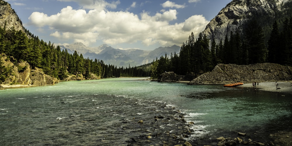 green pine trees beside body of water under white clouds and blue sky during daytime