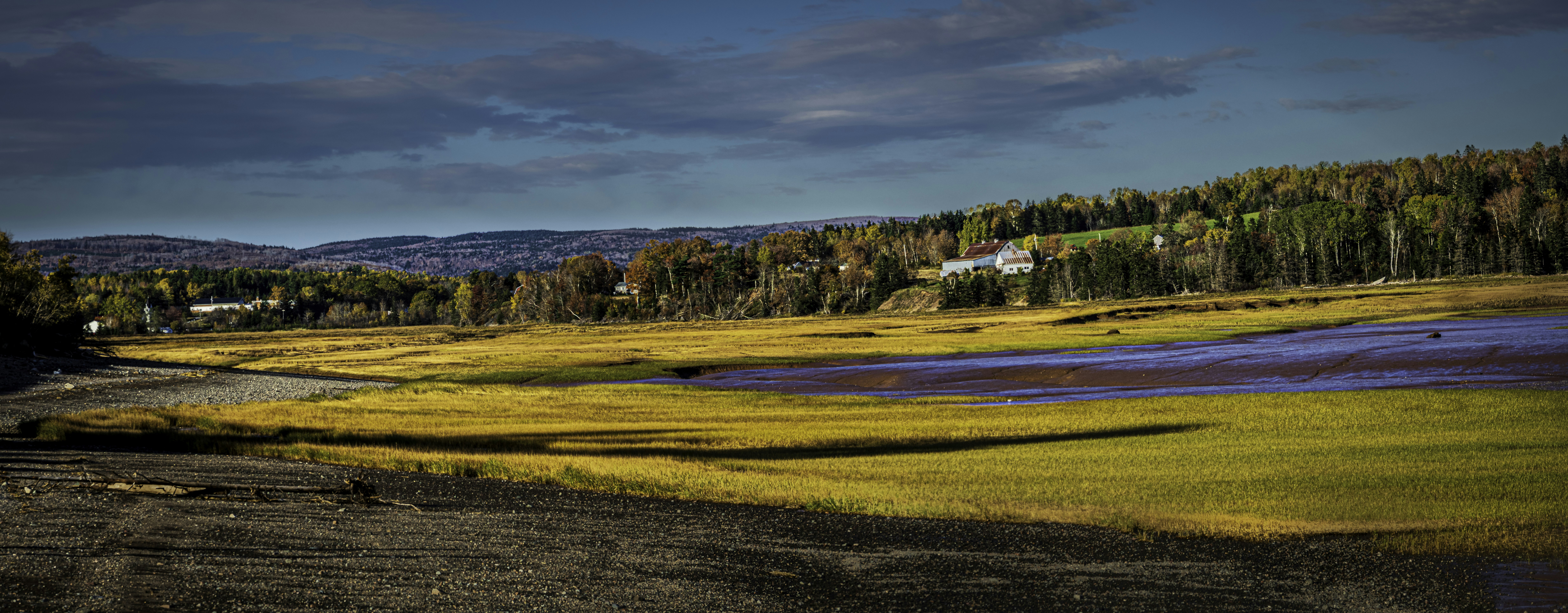 brown field under blue sky during daytime