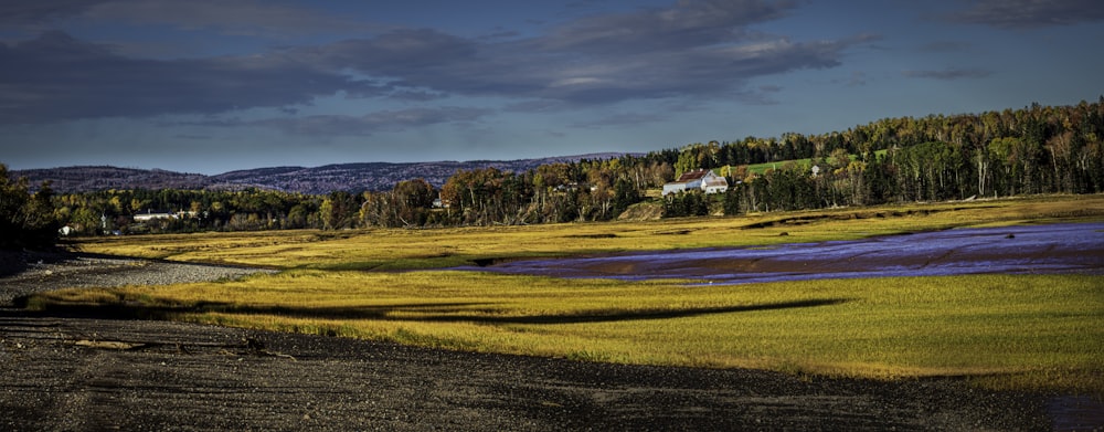 brown field under blue sky during daytime