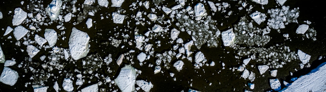 white and black stone fragments